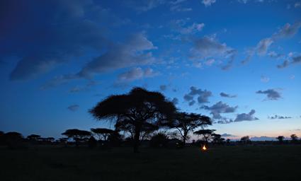 Walk Safari Sunset
