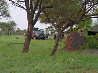 Walk Safari Camp4