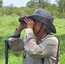 Walk Safari Dona