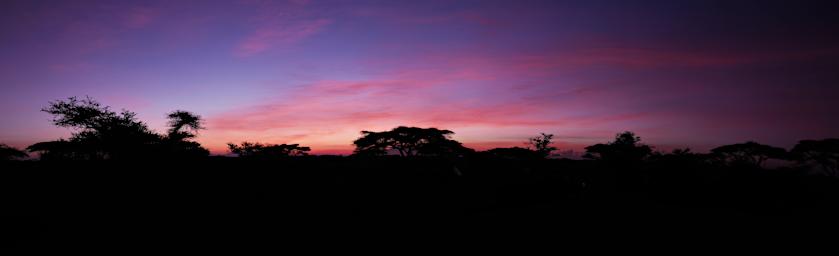 Ndutu Sunset