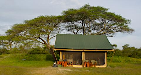 Ndutu Flycatcher Camp
