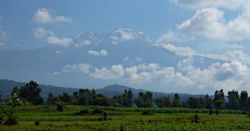 WKili Mt Kilimanjaro