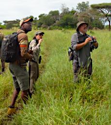 Walking Safari