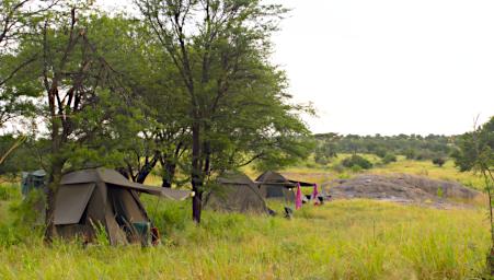 Walk Camp