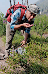 CrescentLk_0005_20260809_Huckleberries_01