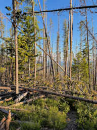 Sid/CrescentLk_0002_20260809_Logs_1403