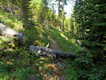 Log Dropped