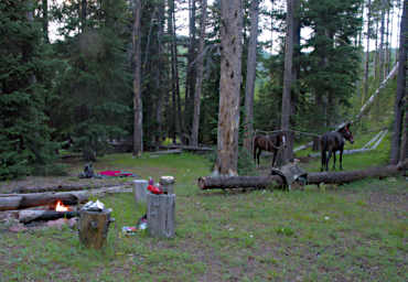 Camp Cooking Dinner